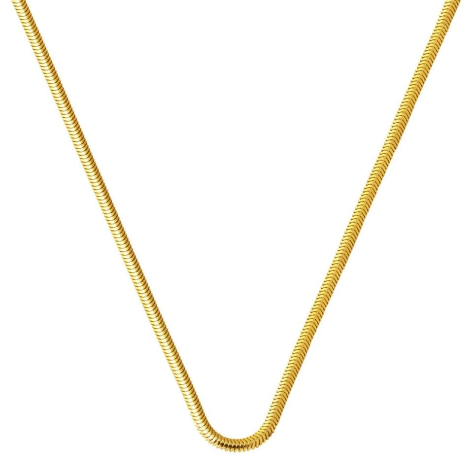 14 Ayar Altın 2 mm. Balıksırtı Zincir Kolye